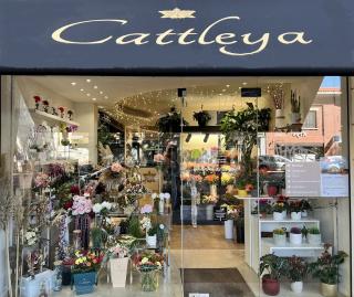 Fleuriste Fleuriste Toulouse - Cattleya Artisan Fleuriste 0