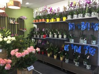 Fleuriste Carrément Fleurs - Fleuriste Toulouse Revel 31 - Livraison de fleurs à domicile 0