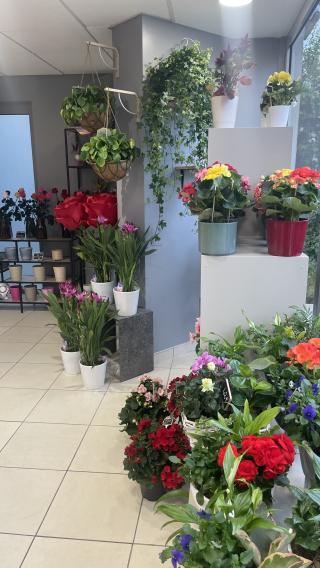 Fleuriste LA MAISON FLEURS 0