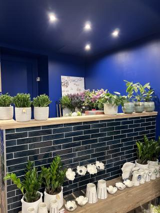 Fleuriste Stéphane Brassart Fleuriste 0