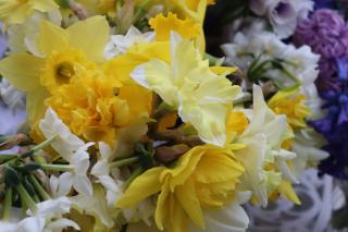 Fleuriste Les Petales de la Baie 0