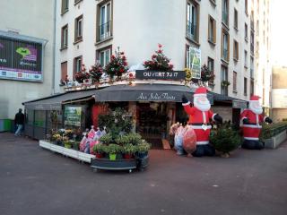 Fleuriste Aux Jolies Fleurs 0