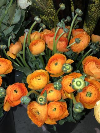 Fleuriste Le Jasmin Fleuriste 0