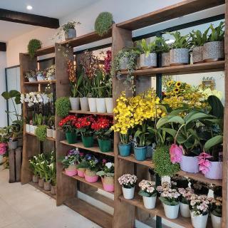 Fleuriste Aubépine, Artisan Fleuriste 0