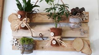 Fleuriste Le Temps Des Fleurs 0