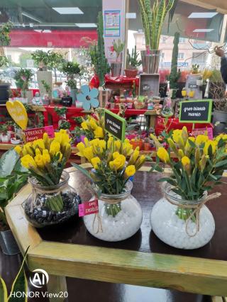 Fleuriste Preference Fleurs Plaisance du Touch 0