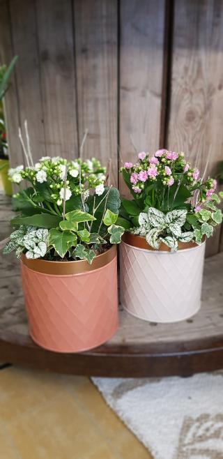 Fleuriste Au jardin Do 0