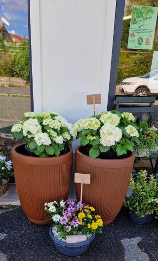 Fleuriste Au jardin Do 0