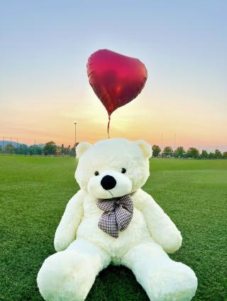 Fleuriste Paradis des Roses 0