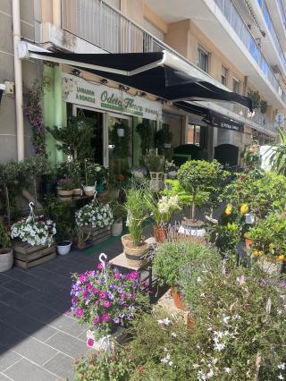 Fleuriste Fleuriste Nice Odete Fleurs 0