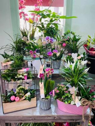 Fleuriste Fleuriste Arum&sens Nice 0