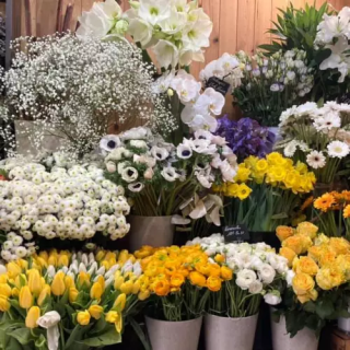 Fleuriste Un Peu Beaucoup...Fleuriste Nice 0