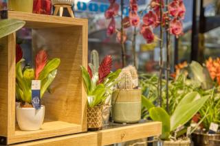 Fleuriste Monceau Fleurs Sevrier 0