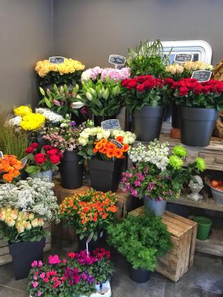 Fleuriste Le Jardin de Benoit 0