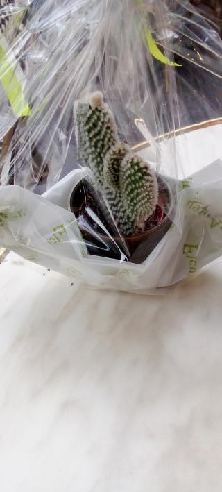 Fleuriste Fleurs d'Auteuil 0