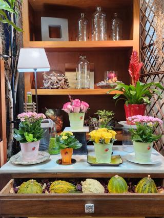 Fleuriste A la roseraie - Olivier RICARD 0