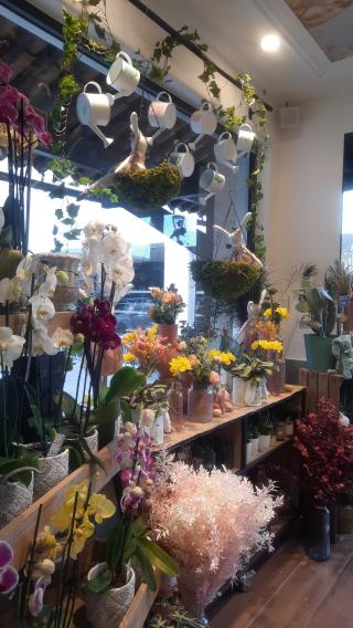 Fleuriste A Fleur de Pot 0