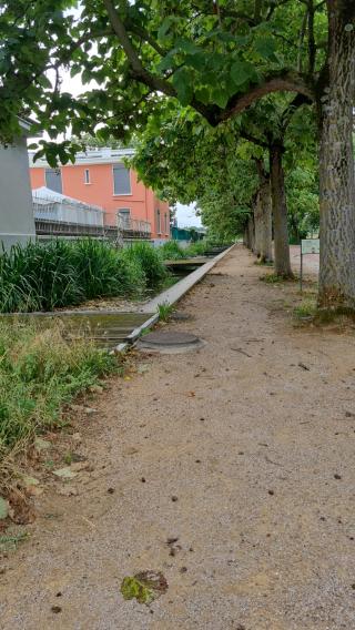 Fleuriste La Maison des Fleurs du Parc de Gerland 0