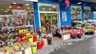 Fleuriste Marceau Fleurs 0