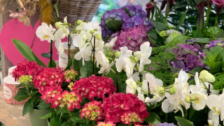 Fleuriste Coeur de Fleurs 1