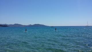 Fleuriste Croisette Fleurs 0