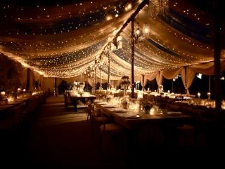 Fleuriste D10 PRODUCTION : D.J, SONORISATION, ECLAIRAGE MONTPELLIER 2