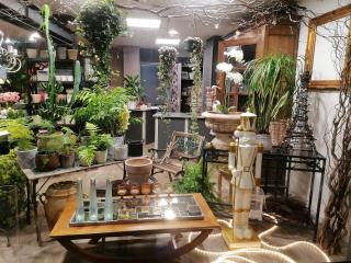 Fleuriste Fleurs de Provence 1