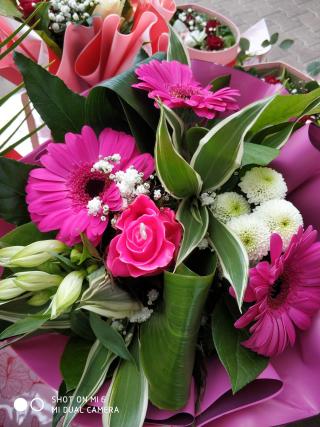 Fleuriste Discount Flowers, Les Serres De Touvent 0