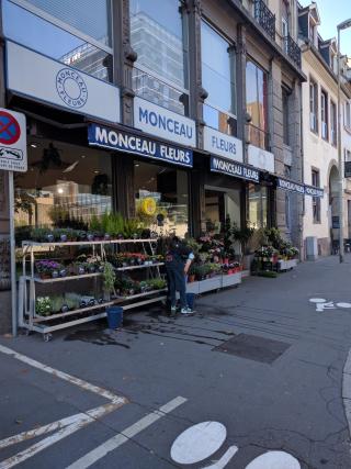 Fleuriste Monceau Fleurs 0