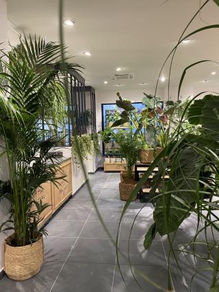 Fleuriste Monceau Fleurs 0