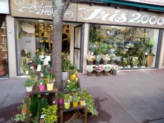 Fleuriste Iris 2000 0