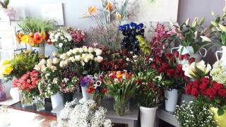 Fleuriste ASPARAGUS 1