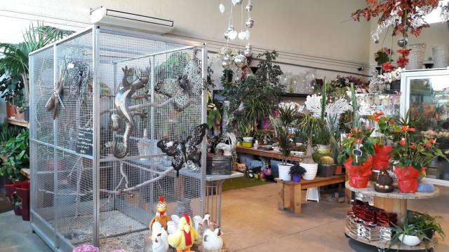 Au palais des fleurs Bollène Fleuriste - BestFleuriste