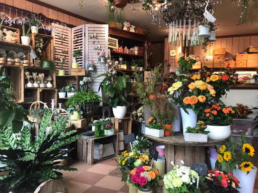 Fleuriste Un jour, une fleur Strasbourg