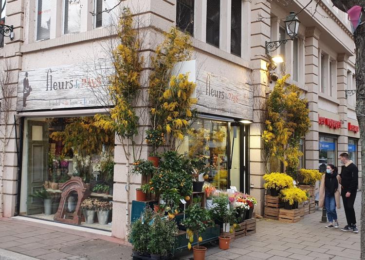 Fleurs de Pays - Fleuriste à Strasbourg