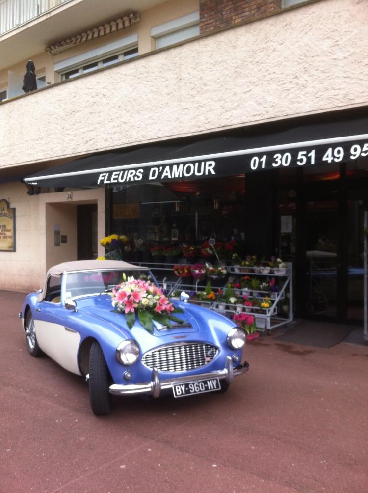 Fleurs d'amour
