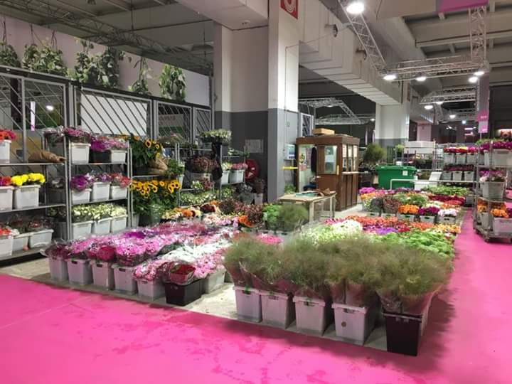Les serres de Misery - producteur de fleurs coupées en Essonne
