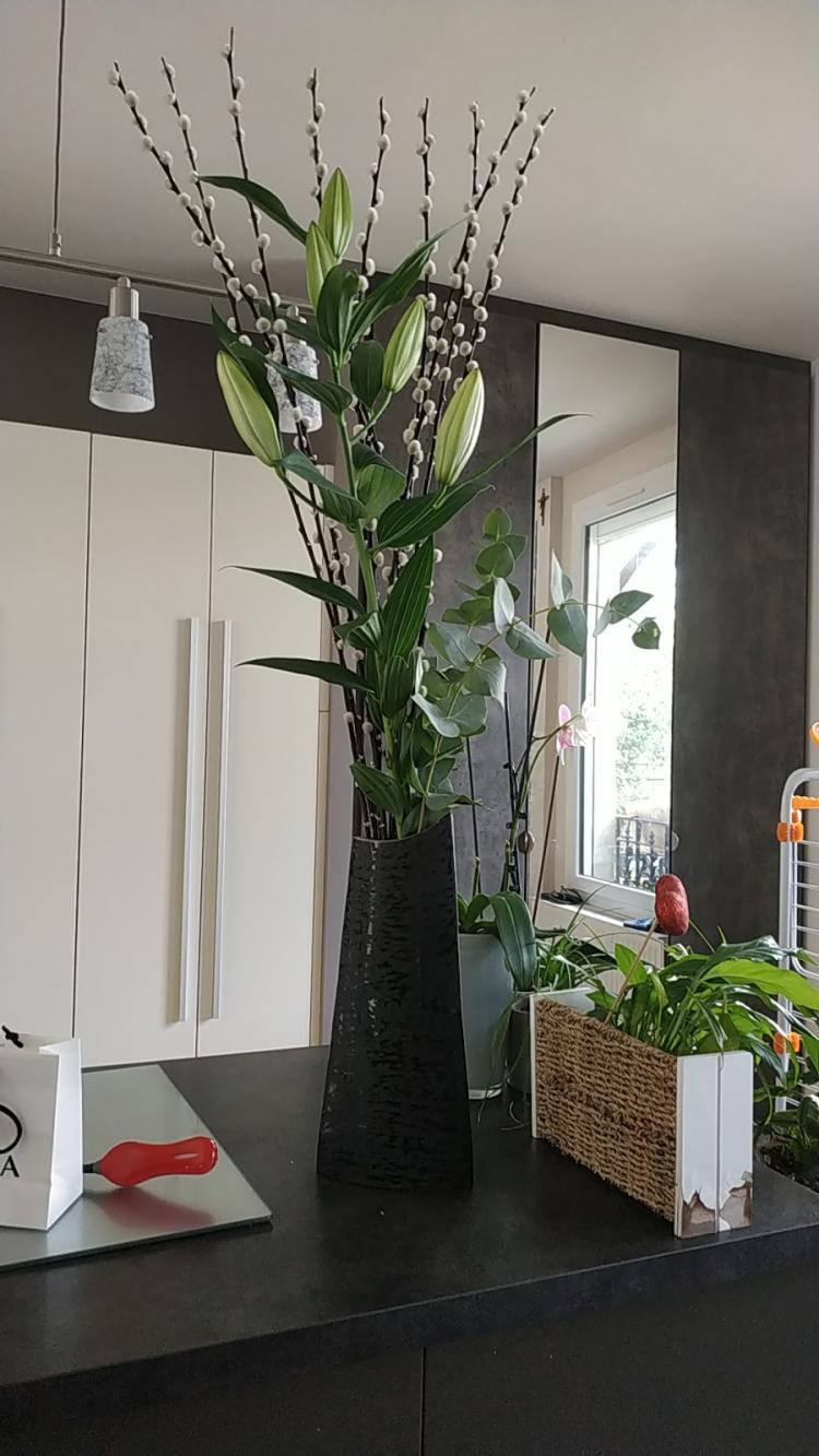 Fleurs des bois