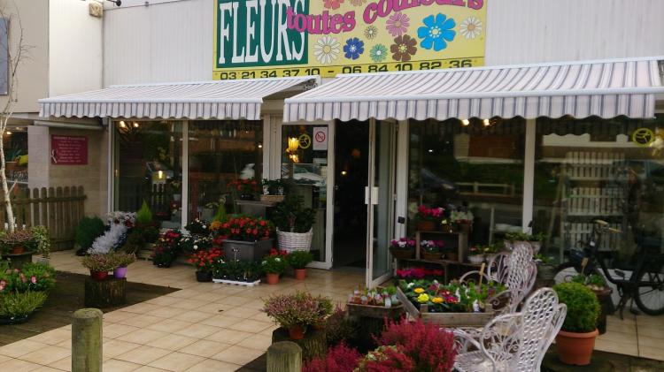 Fleurs Toutes Couleurs