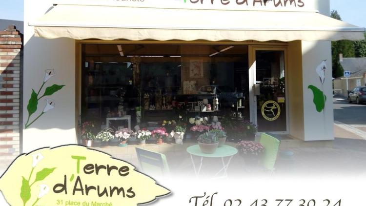 Terre D Arums