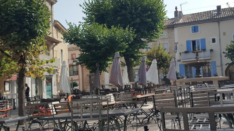 Fleurs de Provence