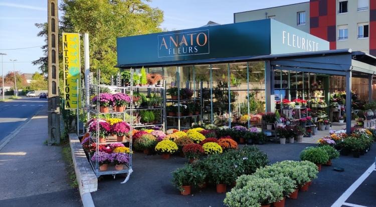 AUX ROSES - ANATO FLEURS