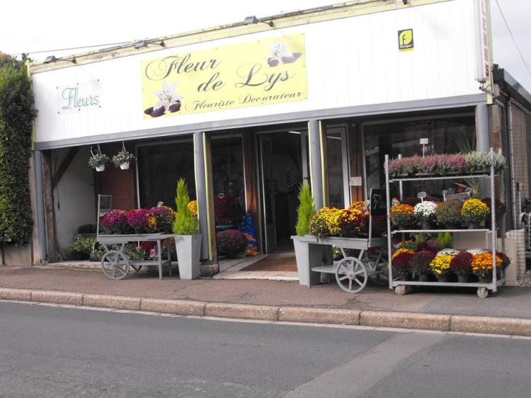 fleur de lys