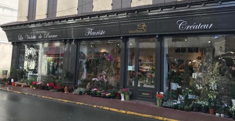 La Violette De Parme