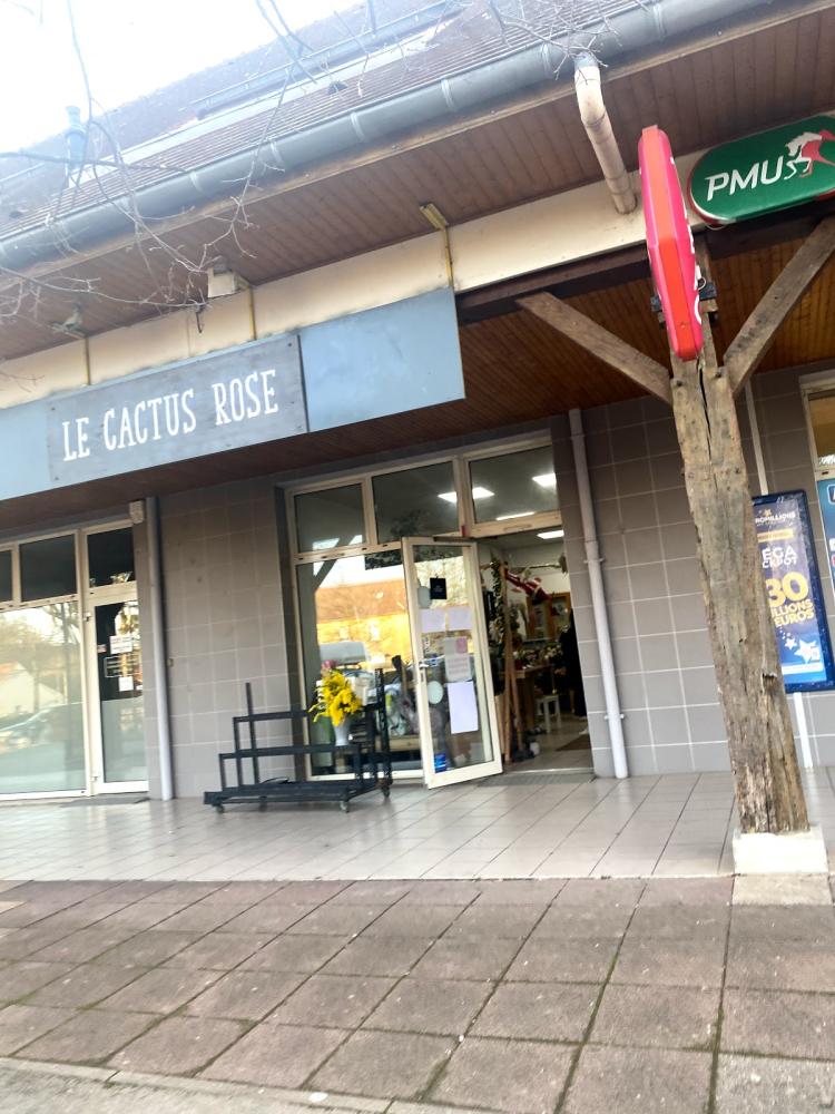Le cactus rose