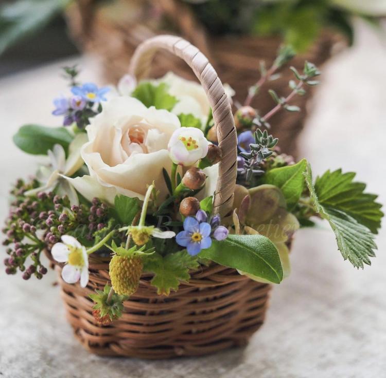 Allard Fleurs