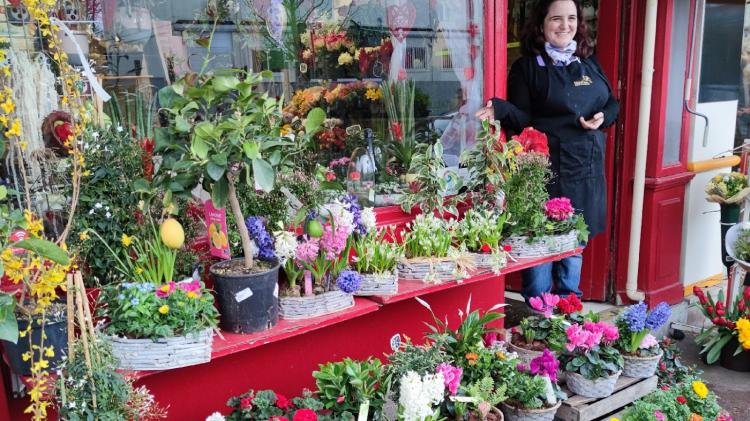 L'Île aux Marguerites, Artisan Fleuriste à Clamart