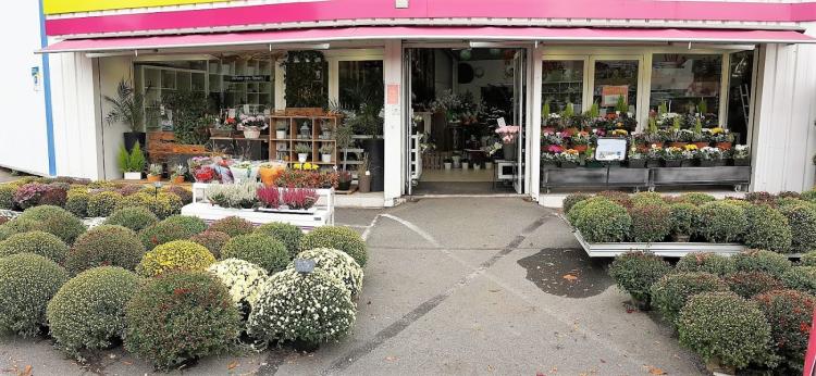 L'Ile aux Fleurs