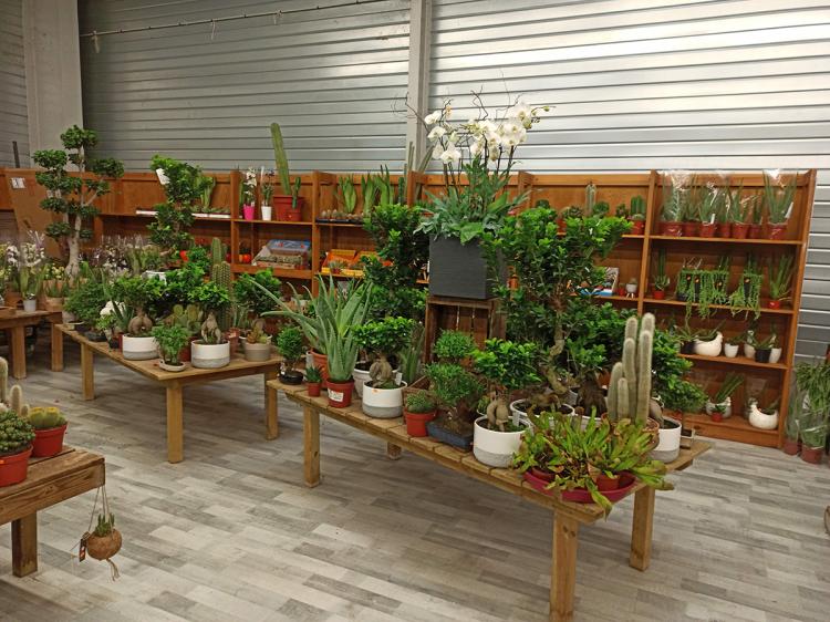Garden Discount Chambry