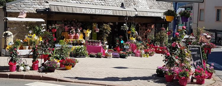 Autour des Fleurs